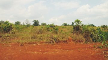 Tanzania Diary - Part 2/3
